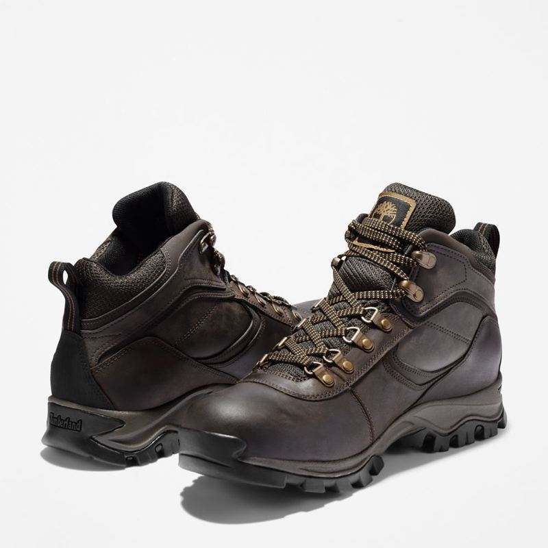 Timberland Mt. Maddsen Waterproof Planinarske Cipele Smeđe | 63439505