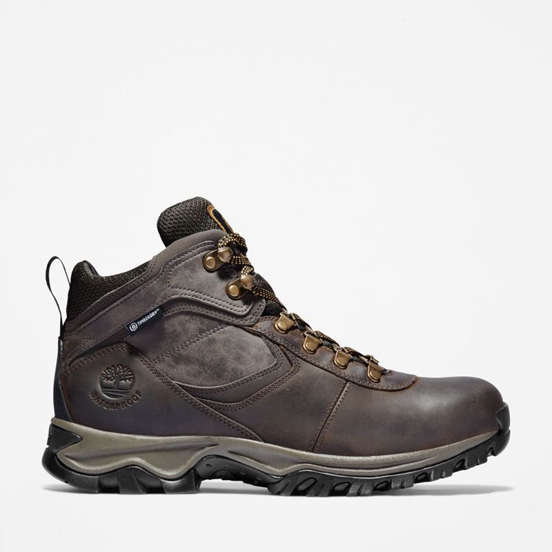 Timberland Mt. Maddsen Waterproof Planinarske Cipele Smeđe | 63439505