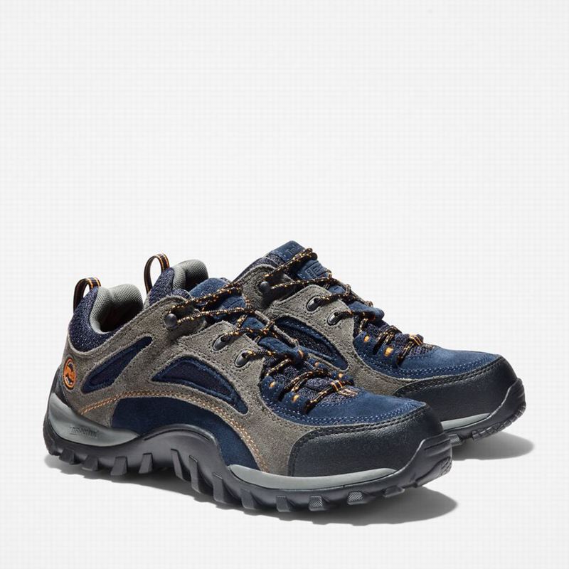 Timberland Mudsill Steel Toe Radne Cipele Sive | 19979284