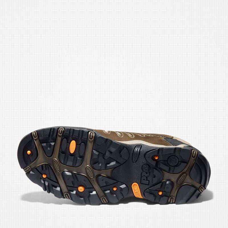 Timberland Mudslinger Steel Toe Waterproof Radne Čizme Smeđe | 75722117