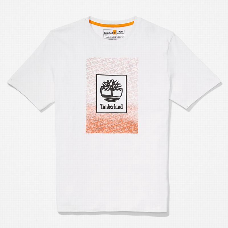 Timberland Multi-logo Majice Bijele | 24008609