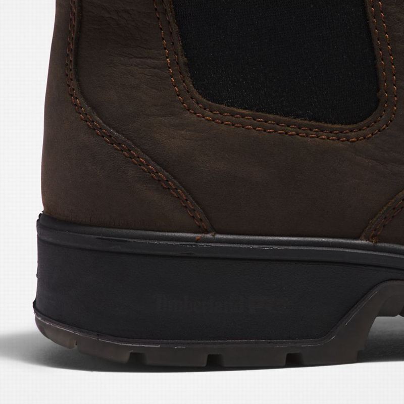 Timberland Nashoba Casual Chelsea Čizme Smeđe | 47037226