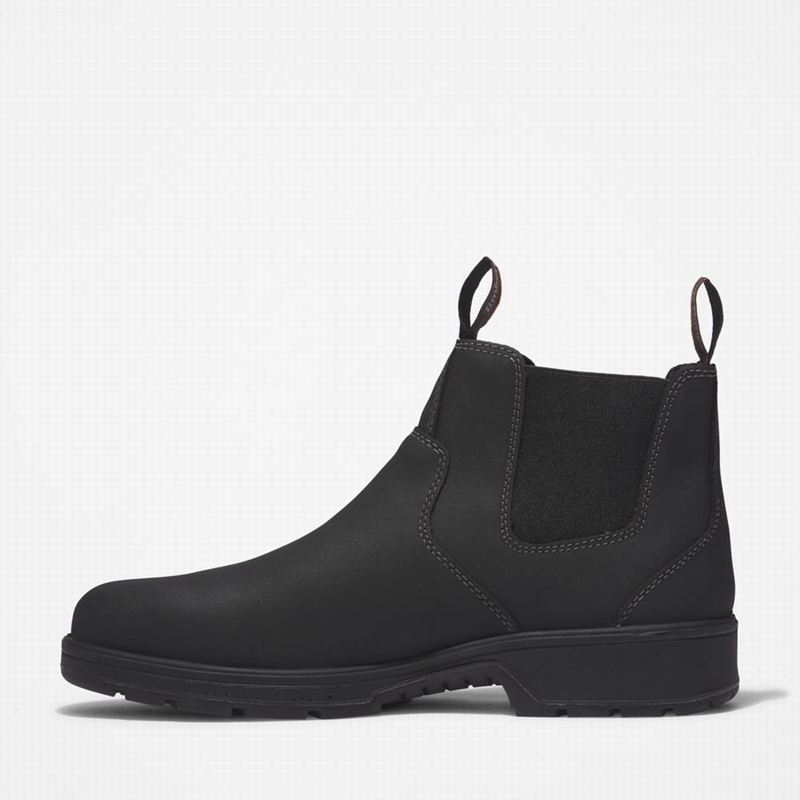 Timberland Nashoba Casual Composite Toe Chelsea Čizme Crne | 22222850