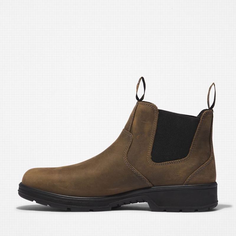 Timberland Nashoba Casual Composite Toe Chelsea Čizme Kafe | 5210432