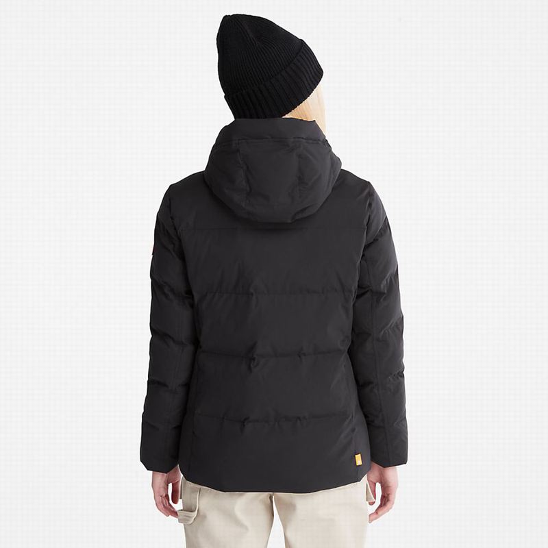 Timberland Non Donje Jakne Crne | 25990327