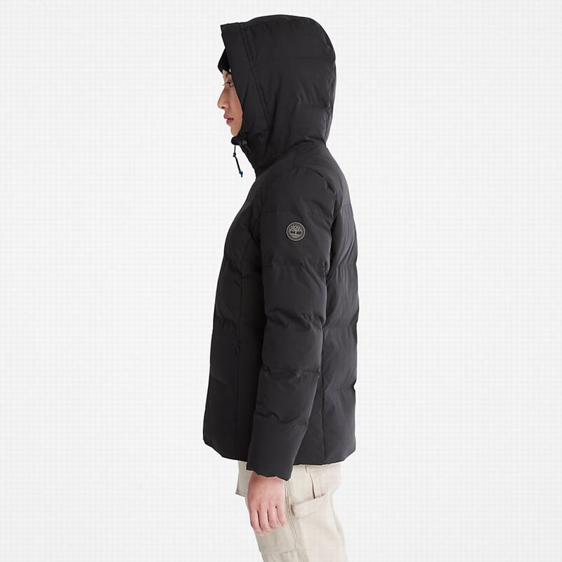 Timberland Non Donje Jakne Crne | 25990327