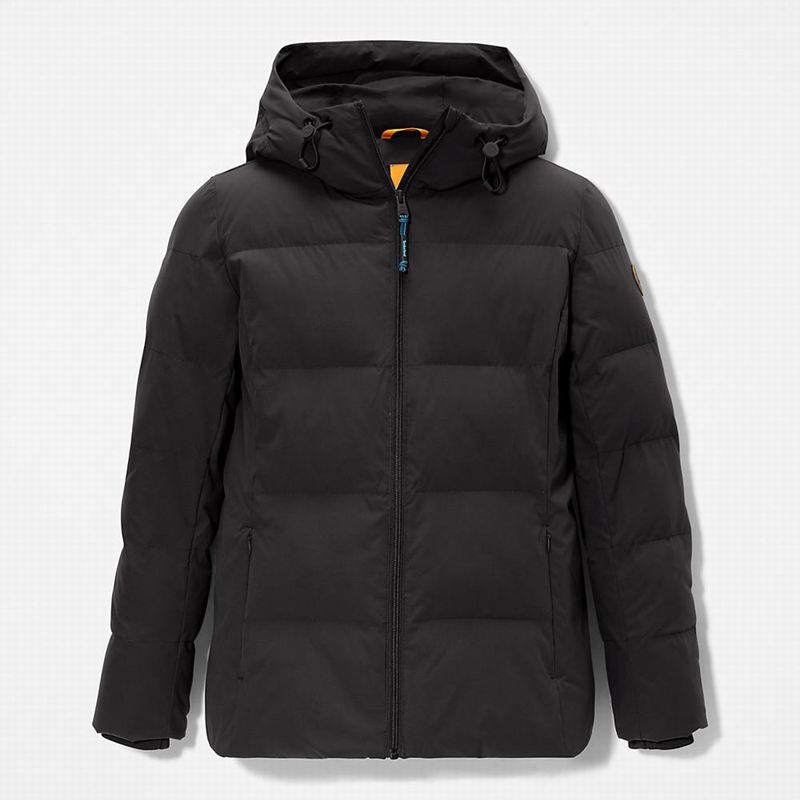 Timberland Non Donje Jakne Crne | 25990327