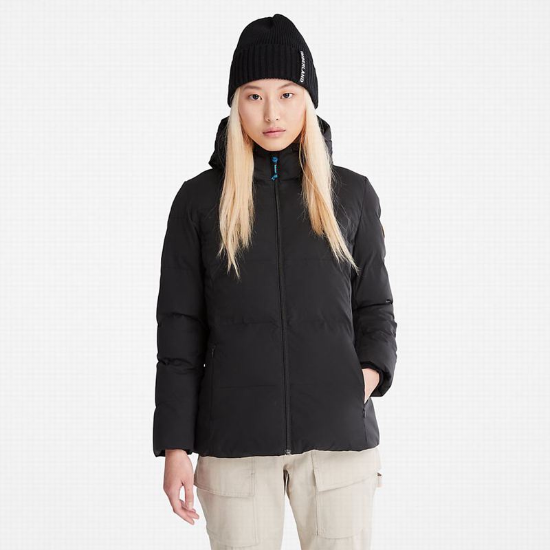 Timberland Non Donje Jakne Crne | 25990327