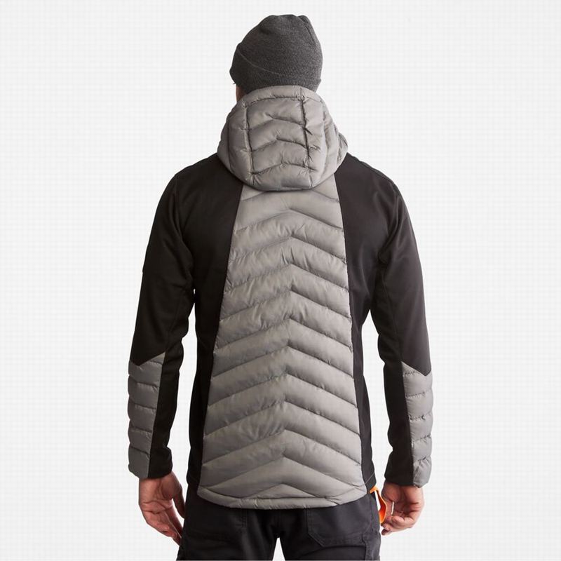 Timberland Non Donje Jakne Sive | 3374951