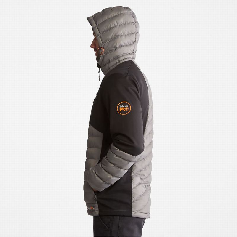 Timberland Non Donje Jakne Sive | 3374951