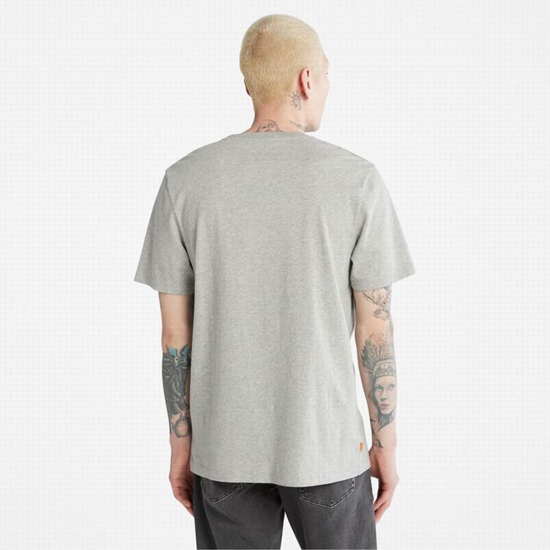 Timberland Organic Cotton Resort Majice Sive | 61223913
