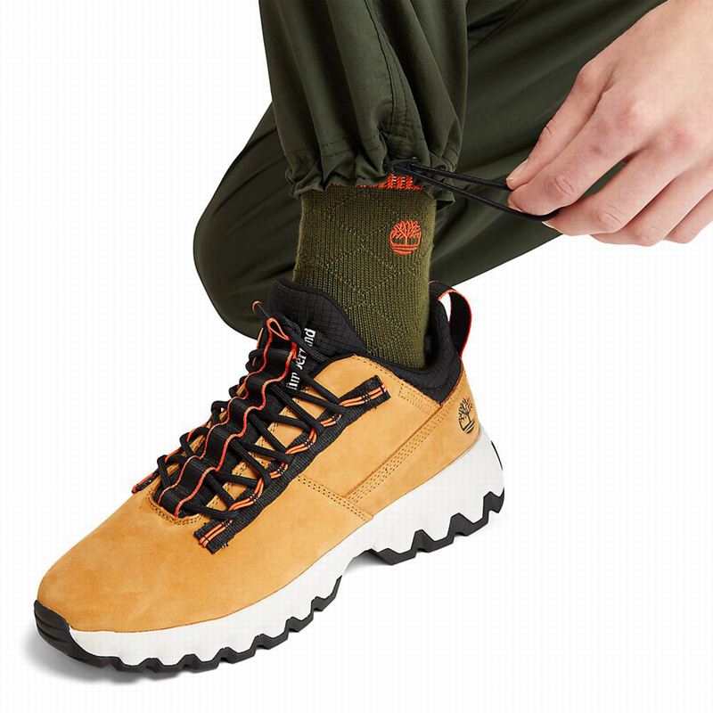 Timberland Outdoor Archive Jogger Hlače Maslinasto Zelene | 26320883