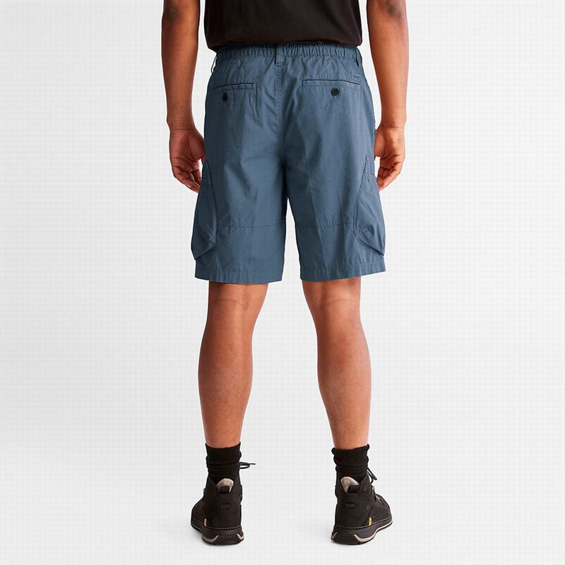 Timberland Outdoor Heritage EK+ Cargo Kratke Hlače Plave | 24136218