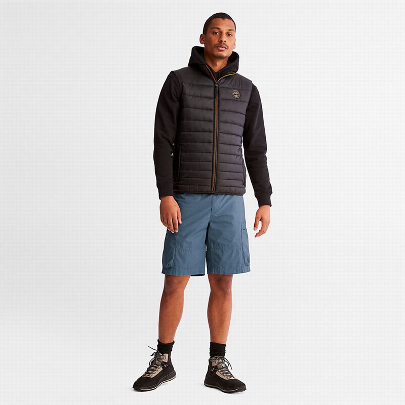 Timberland Outdoor Heritage EK+ Cargo Kratke Hlače Plave | 24136218