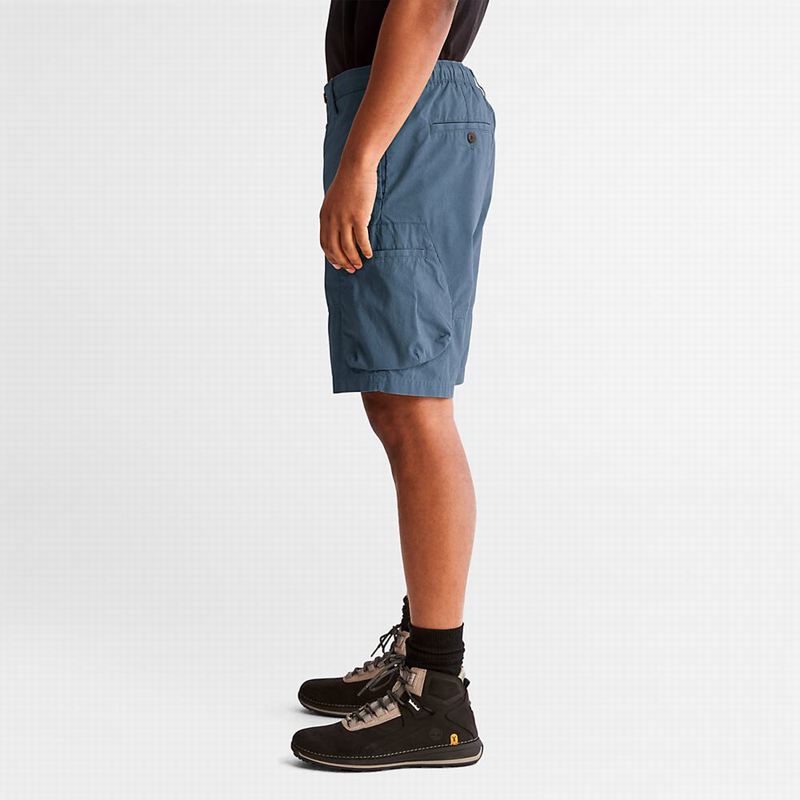 Timberland Outdoor Heritage EK+ Cargo Kratke Hlače Plave | 24136218