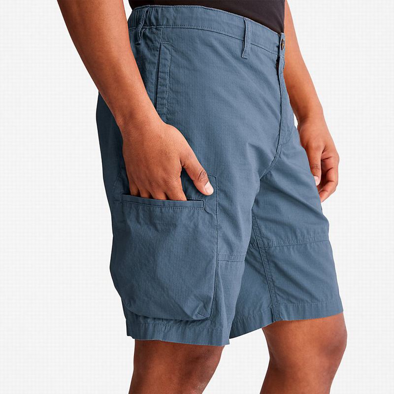 Timberland Outdoor Heritage EK+ Cargo Kratke Hlače Plave | 24136218