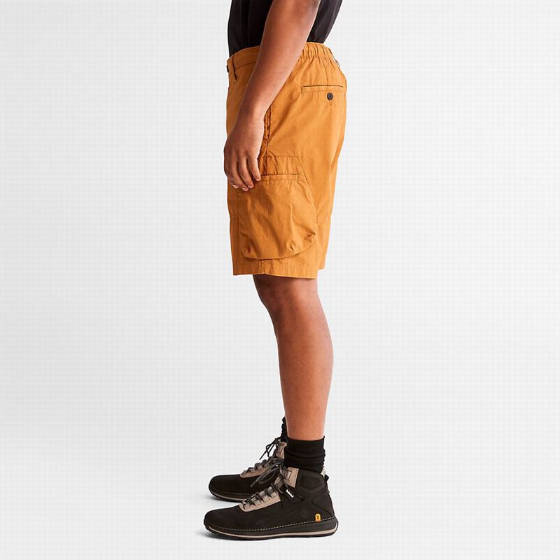 Timberland Outdoor Heritage EK+ Cargo Kratke Hlače Žute | 74132037