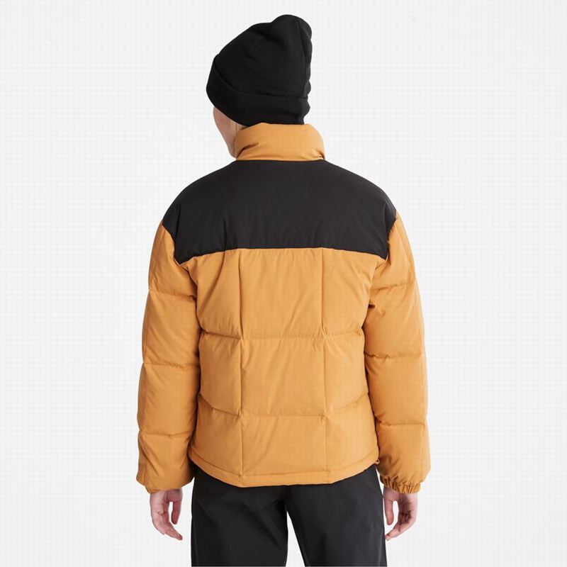 Timberland Outdoor Heritage EK+ Overshirt Donje Jakne Smeđe | 73682014