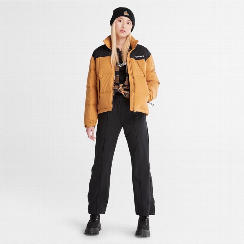 Timberland Outdoor Heritage EK+ Overshirt Donje Jakne Smeđe | 73682014