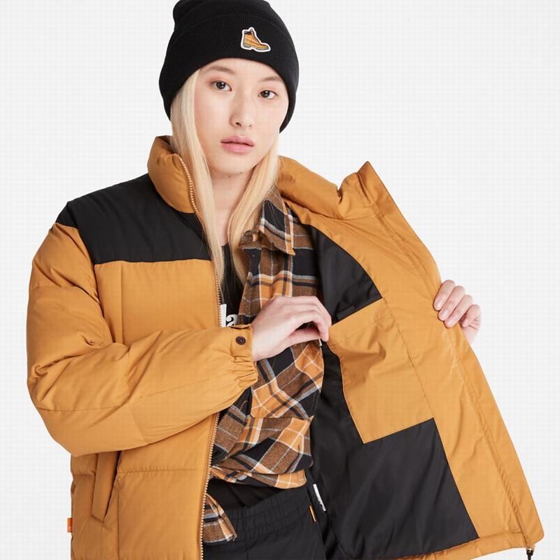 Timberland Outdoor Heritage EK+ Overshirt Donje Jakne Smeđe | 73682014