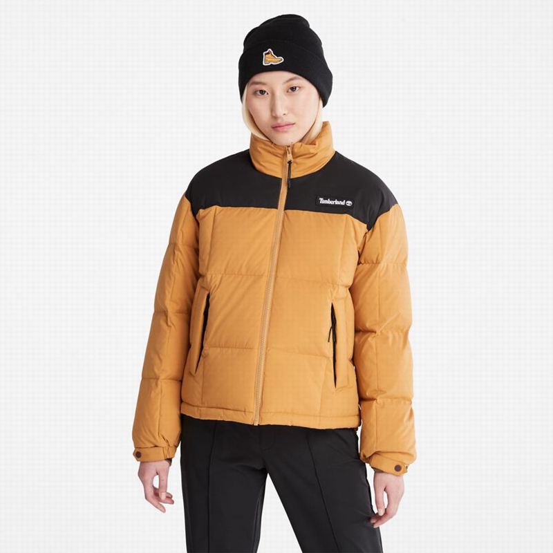 Timberland Outdoor Heritage EK+ Overshirt Donje Jakne Smeđe | 73682014