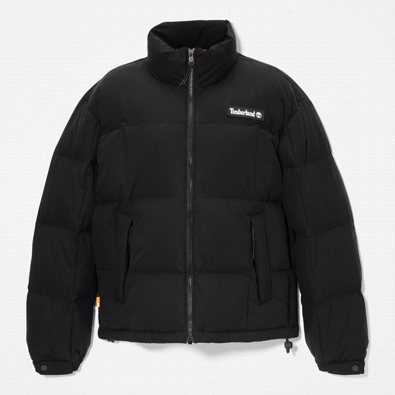 Timberland Outdoor Heritage Field Donje Jakne Crne | 37182002