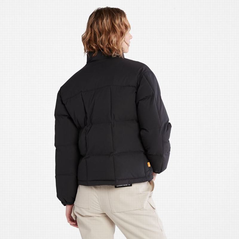 Timberland Outdoor Heritage Field Donje Jakne Crne | 37182002