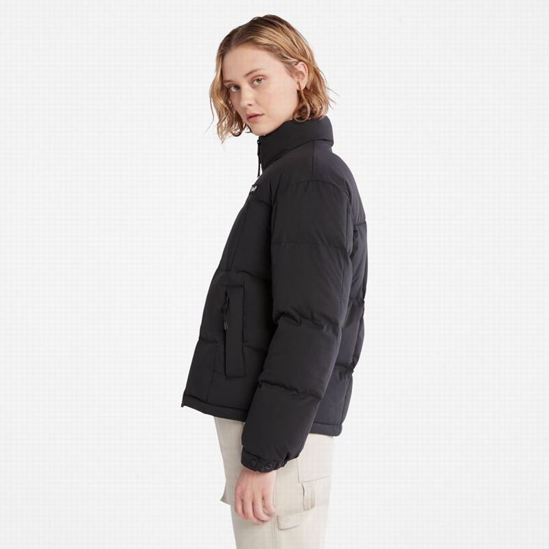 Timberland Outdoor Heritage Field Donje Jakne Crne | 37182002
