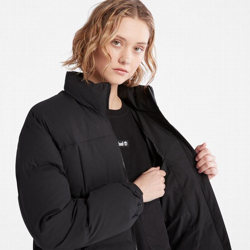 Timberland Outdoor Heritage Field Donje Jakne Crne | 37182002