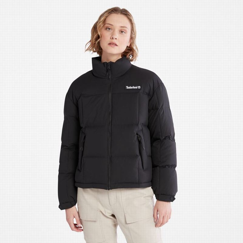 Timberland Outdoor Heritage Field Donje Jakne Crne | 37182002