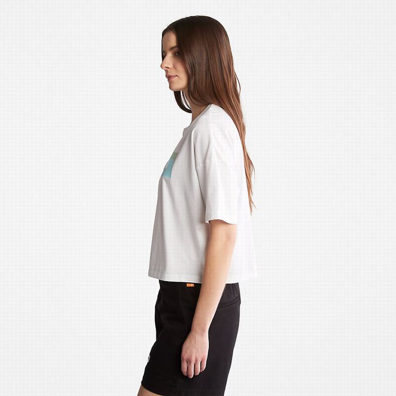 Timberland Outdoor Heritage Linear-Logo Tee Majice Bijele | 59127453