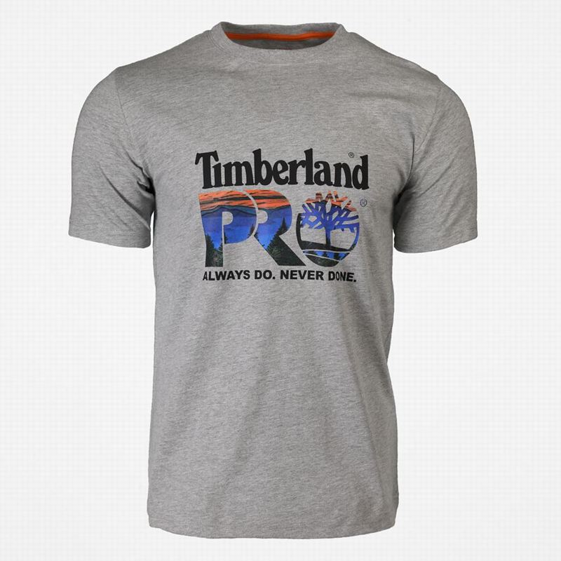 Timberland PRO Base Plate Short-Sleeve Logo Majice Sive | 43662471