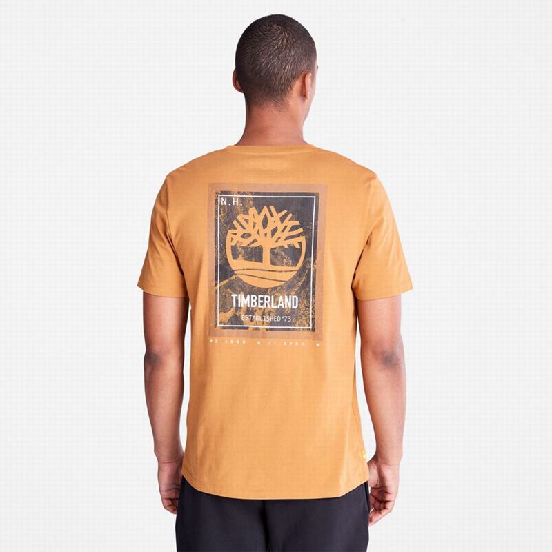Timberland PRO Base Plate Wicking Majice Smeđe | 20829426