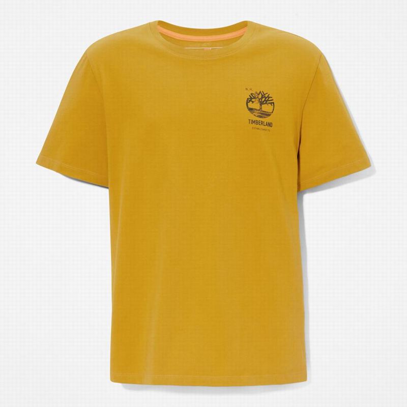 Timberland PRO Base Plate Wicking Majice Boje Senfa | 60597506