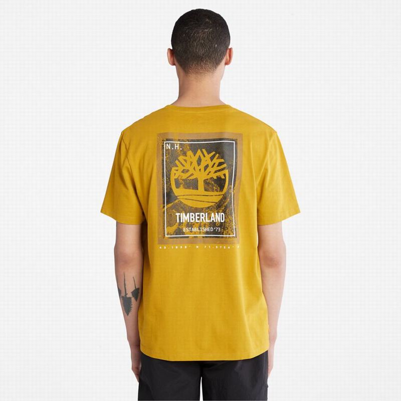 Timberland PRO Base Plate Wicking Majice Boje Senfa | 60597506