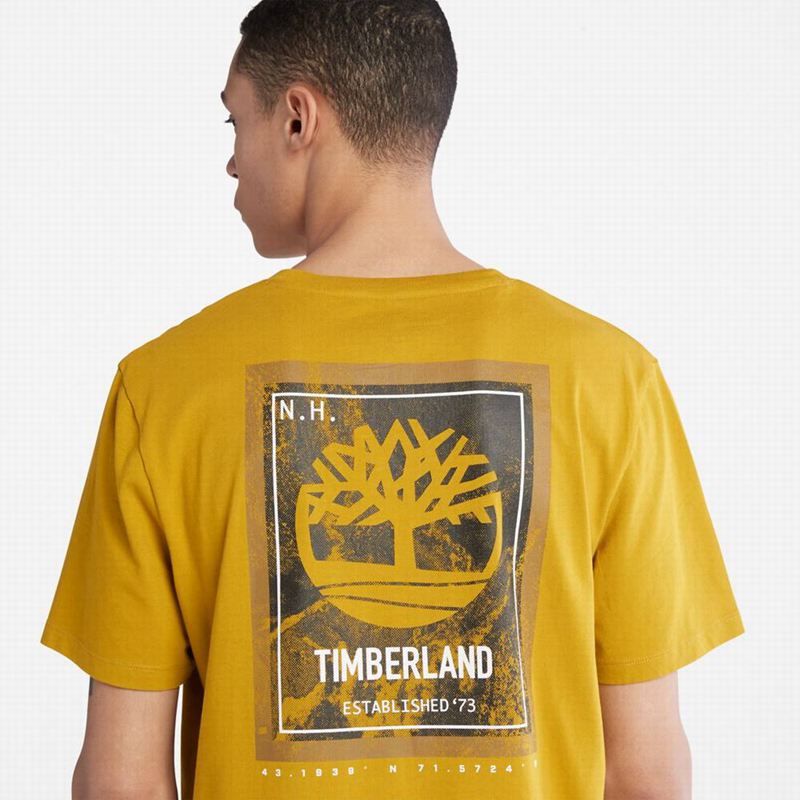 Timberland PRO Base Plate Wicking Majice Boje Senfa | 60597506
