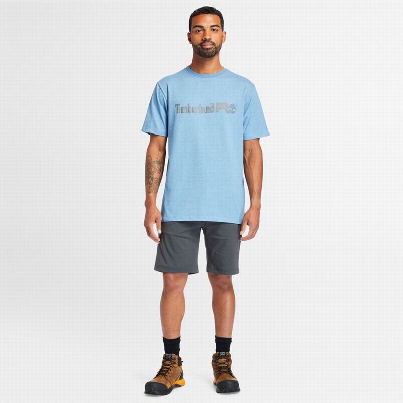 Timberland PRO Tempe Kratke Hlače Sive | 67922041