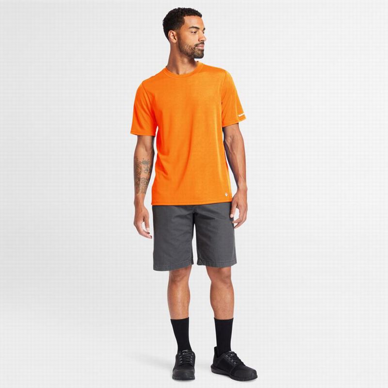 Timberland PRO Textured Graficke Short-Sleeve Majice Narančaste | 97658827