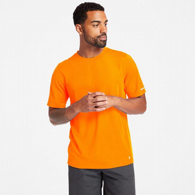Timberland PRO Textured Graficke Short-Sleeve Majice Narančaste | 97658827