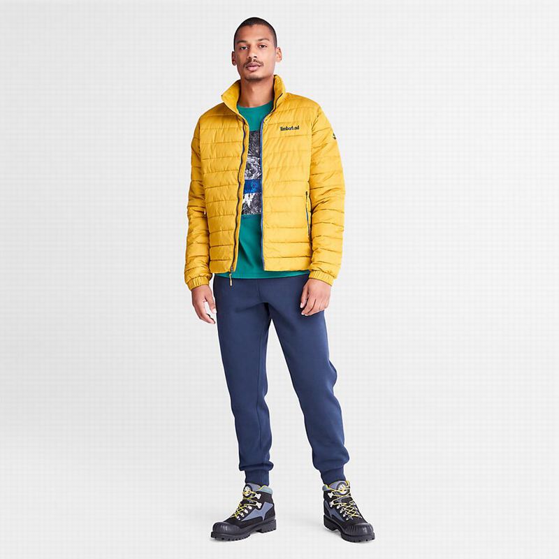 Timberland Paint Graficke Dugi Rukav Tirkizne | 64167854