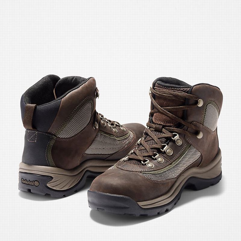 Timberland Plymouth Gore-Tex Trail Planinarske Cipele Smeđe | 26811551