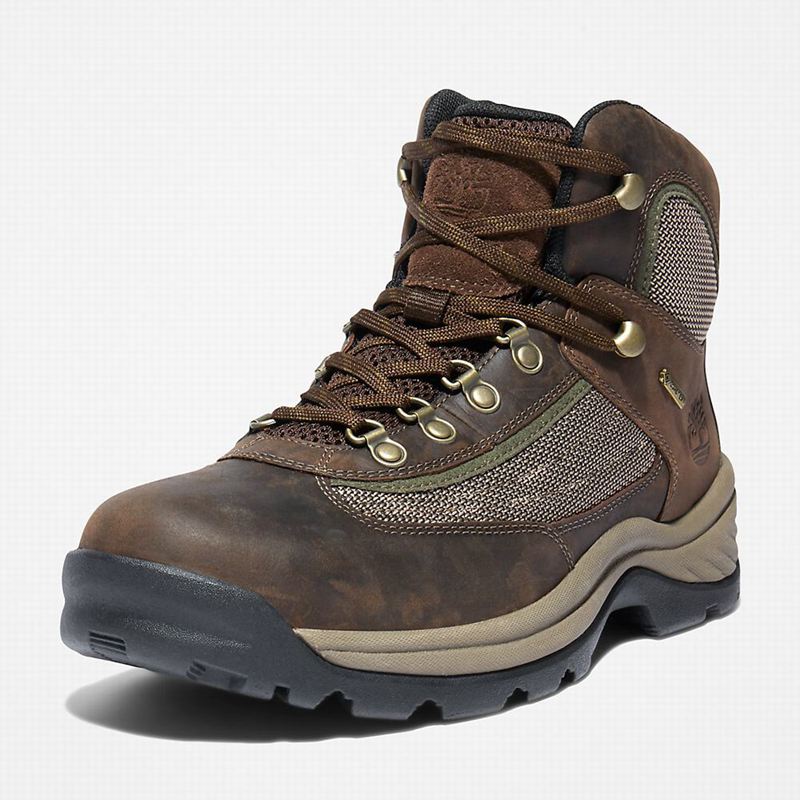Timberland Plymouth Gore-Tex Trail Planinarske Cipele Smeđe | 26811551
