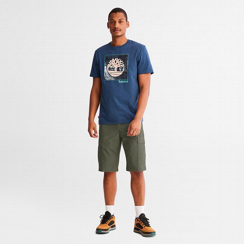 Timberland Poplin Cargo Kratke Hlače Maslinasto Zelene | 55124522