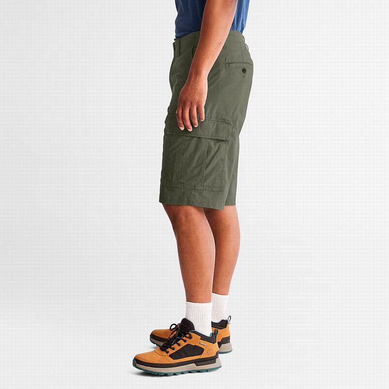 Timberland Poplin Cargo Kratke Hlače Maslinasto Zelene | 55124522