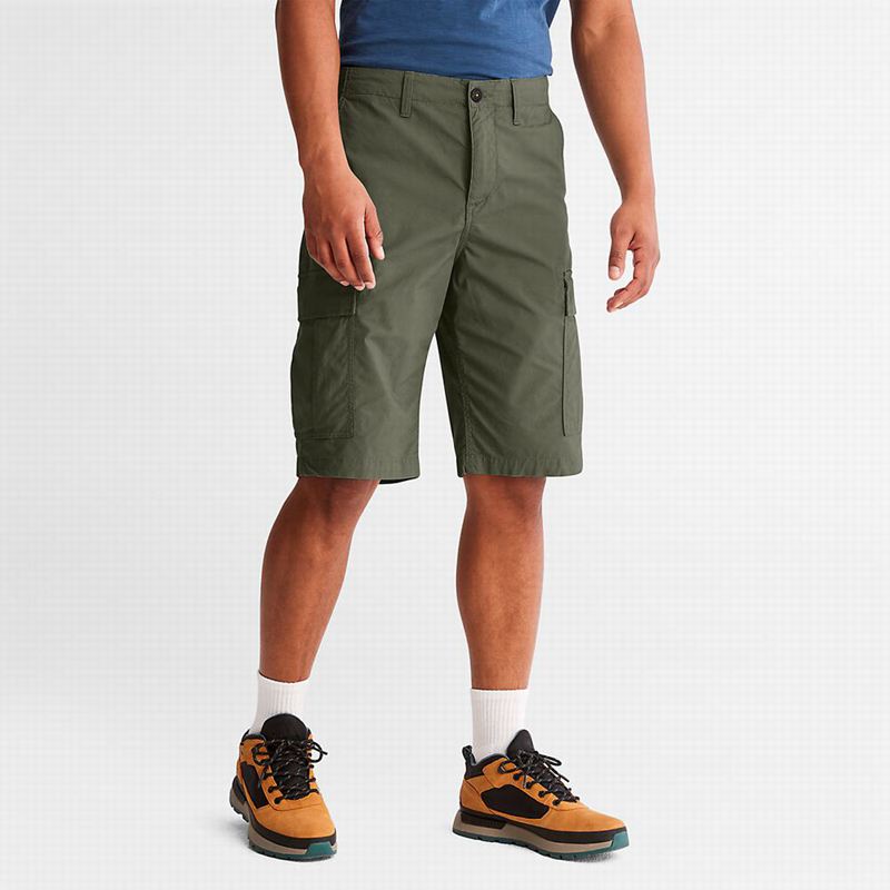 Timberland Poplin Cargo Kratke Hlače Maslinasto Zelene | 55124522