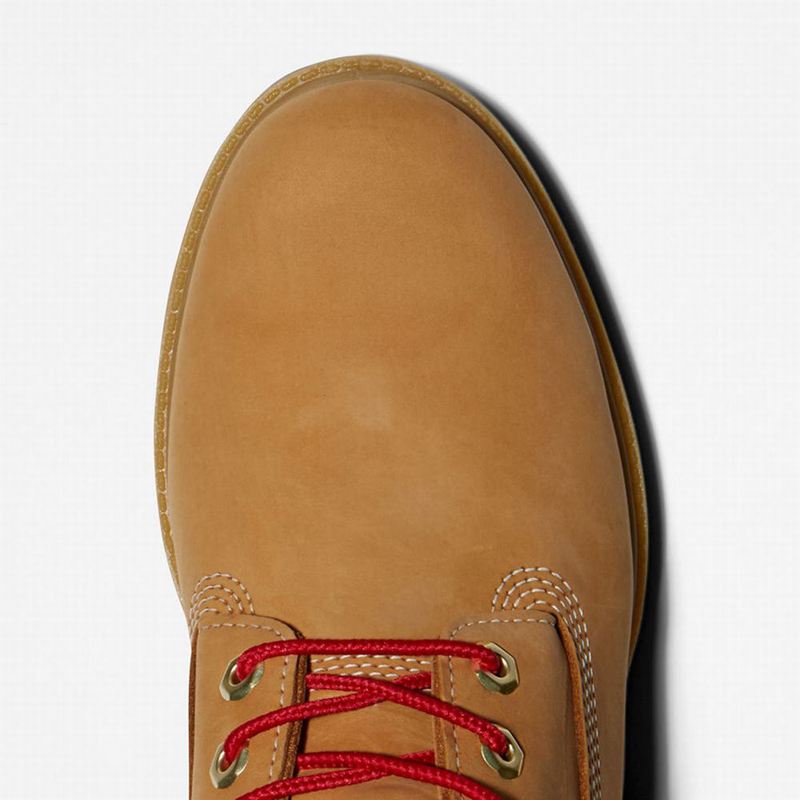 Timberland Premium 6 Inch Lux Koža Čizme Žute | 13812275
