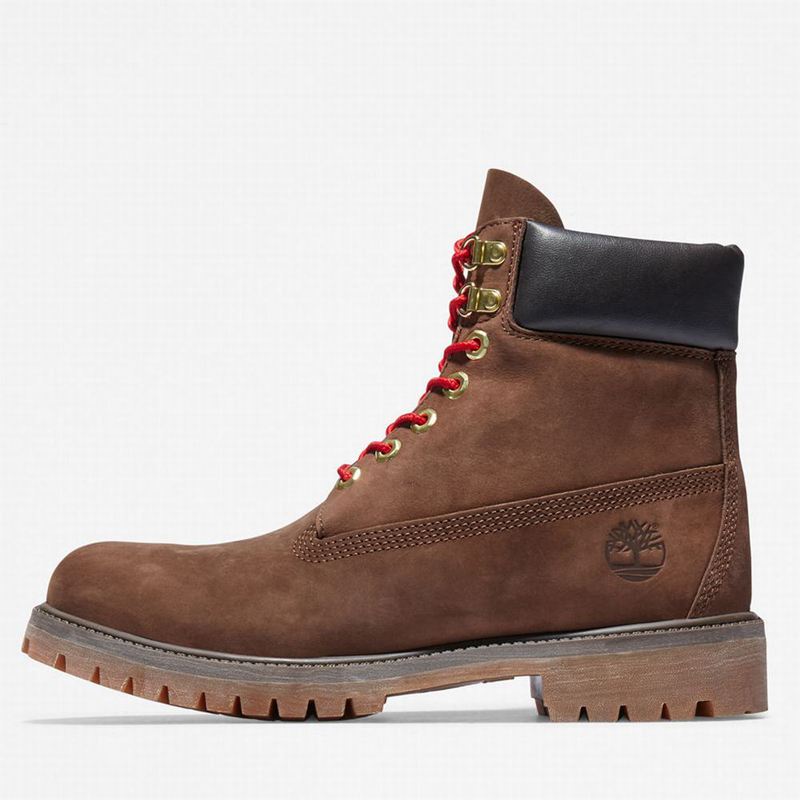 Timberland Premium 6 Inch Lux Koža Čizme Smeđe | 52827695