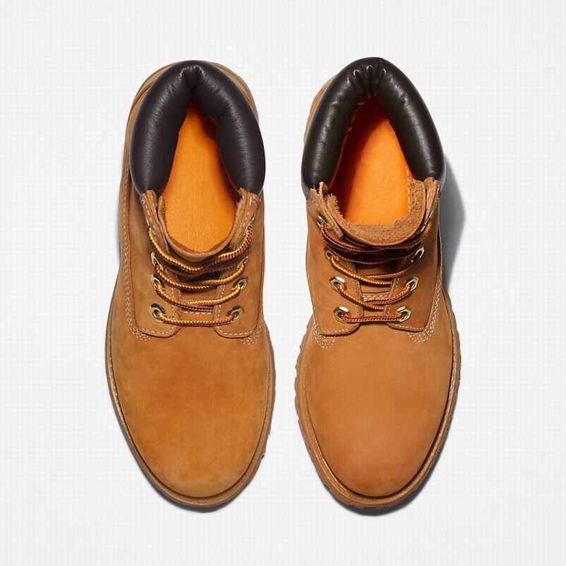Timberland Premium 6-Inch Vodootporne Čizme Žute | 81066874