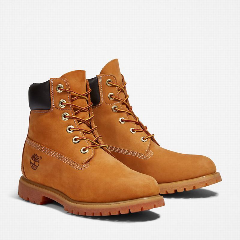 Timberland Premium 6-Inch Vodootporne Čizme Žute | 81066874