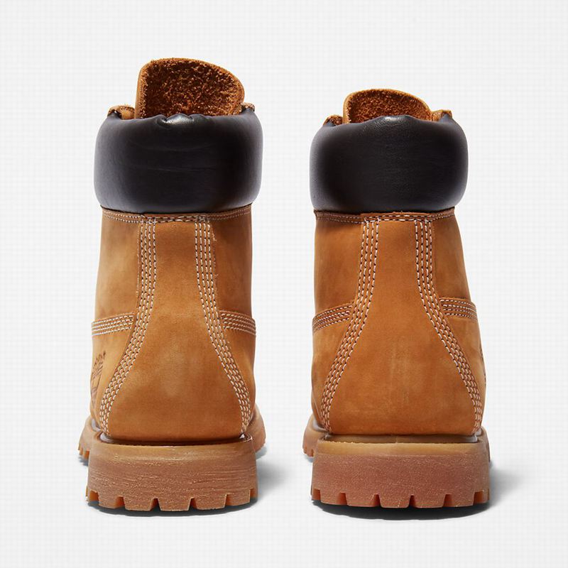 Timberland Premium 6-Inch Vodootporne Čizme Žute | 81066874